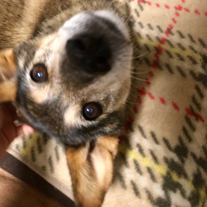 0e8cdd4b ed3d 4a53 96ce 32c7b7dfdda3 1537618838891