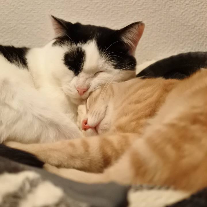 0e8cea89 bc41 4b57 87fb 53e454dae92f 1550329099010