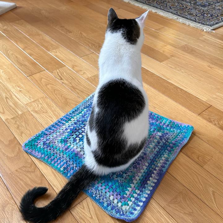 0e8cf873 2afe 4b67 958e a36e4b1642bf 1716448979405