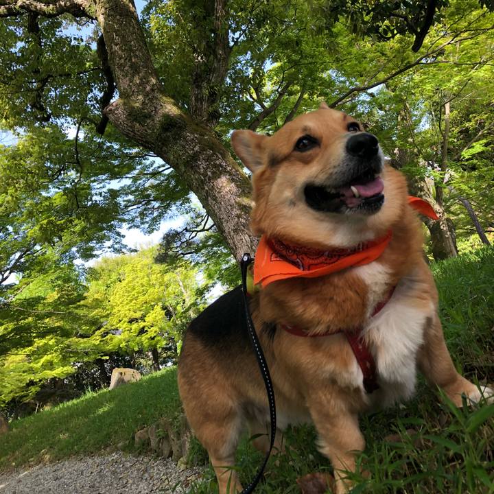 0e8d731b 8955 4170 b9d9 3d745da8051f 1763480898167