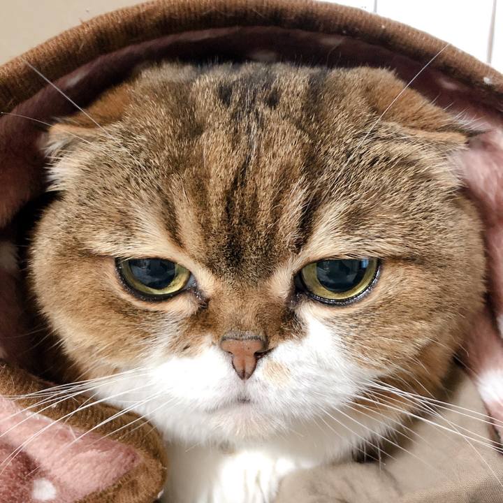 0e8d956a 1aa5 455f 9056 6b94ce6aa5a9 1601502036590