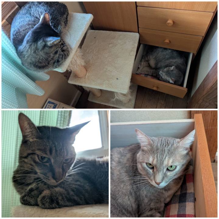 0e8daf96 ca74 417d 8cf5 663ba6edfc05 1758680730680