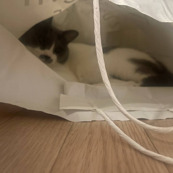 0e8dced9 6354 4eaa 98e7 e54d34dfa64c 1629447535906