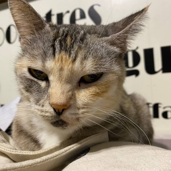 0e8dcfcf 0179 446f ad81 946c354f0773 1606414263778