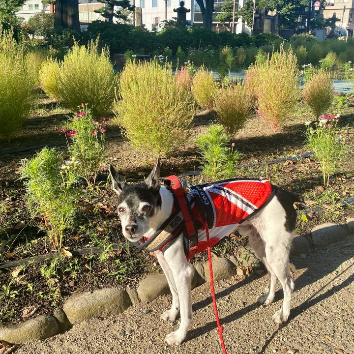 0e8dde4e 7ef1 475d a5bf 16bf94b5da11 1633825722765