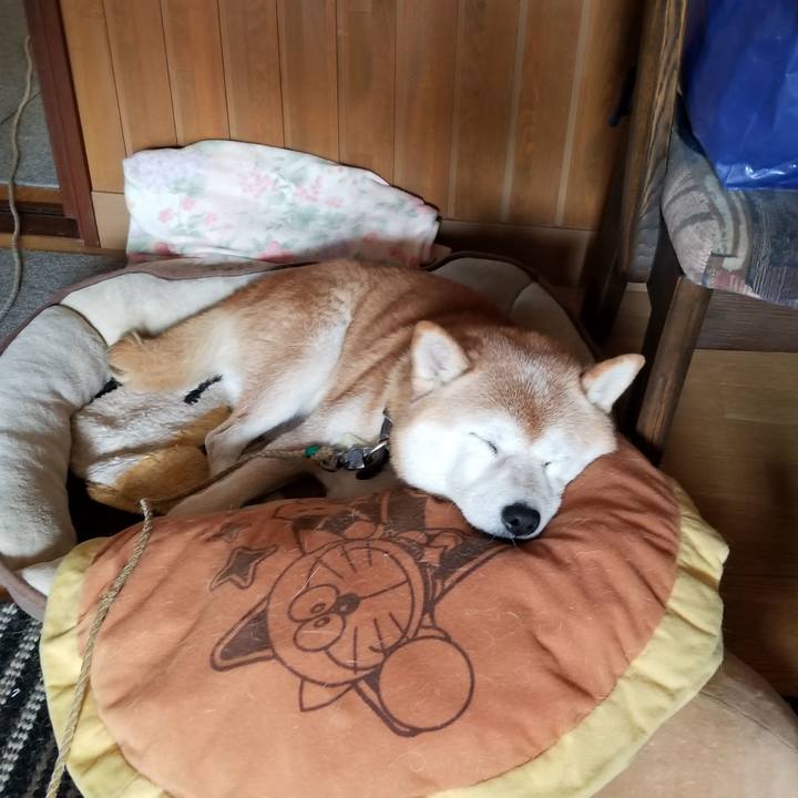 0e8e54bd 32a8 479a 9dd1 ab960311358e 1664077947407