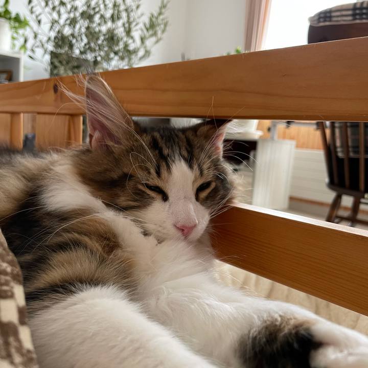 0e8e921e 7309 47cd aab1 83c81d48c288 1635913352734