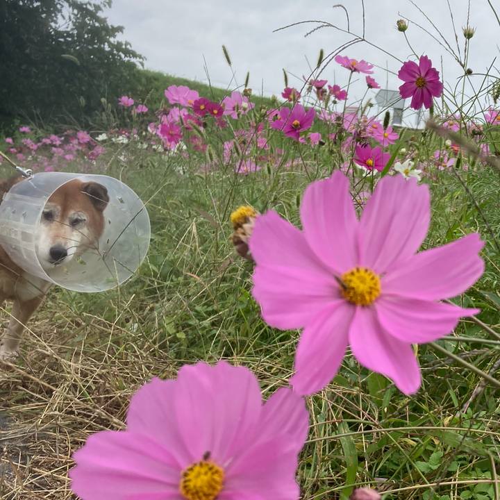 0e8ee8c2 fd79 4617 b95d a4dcde3c63ac 1666669043139