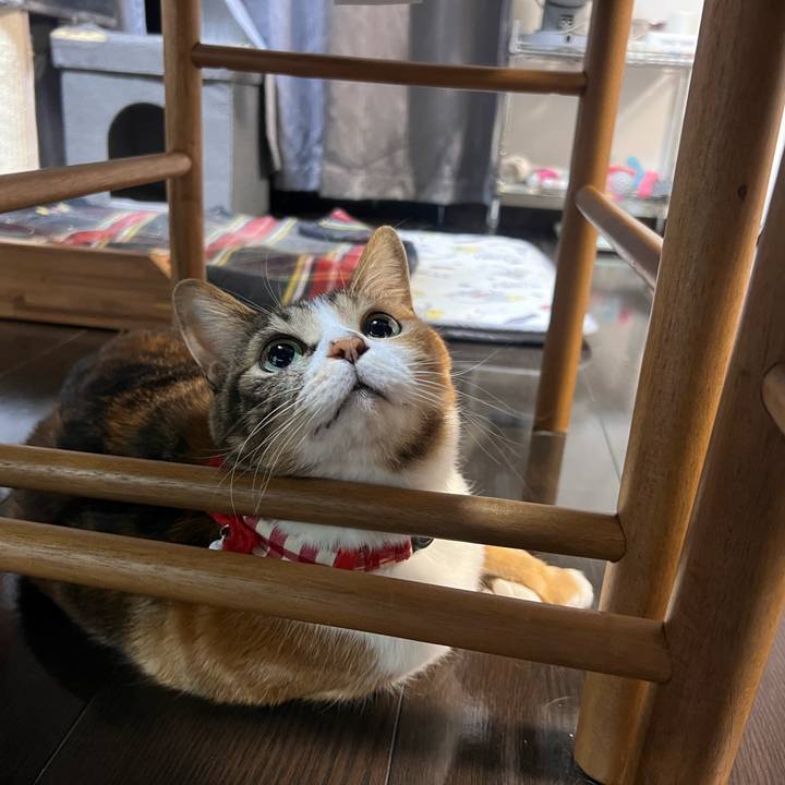 0e8efa3e a54b 41dc 9e50 418a25687fa2 1768642885099