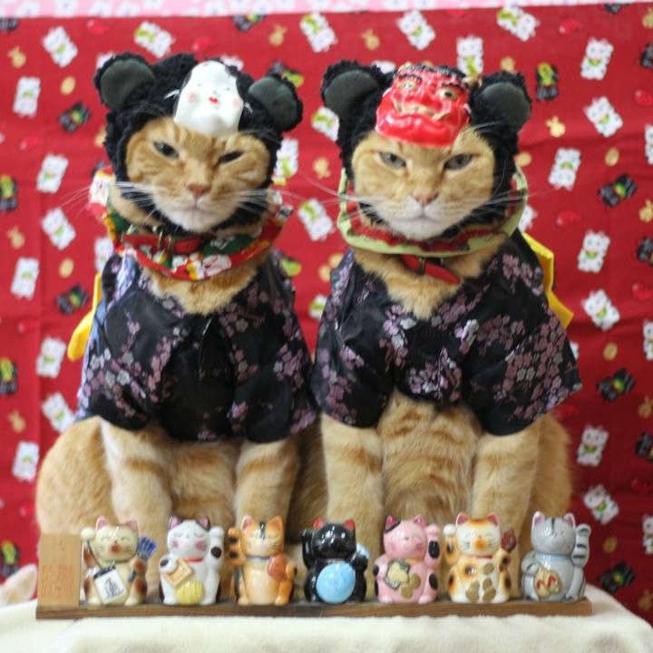 0e8f2c12 369d 4743 ae98 f30781f28550 1517644576758