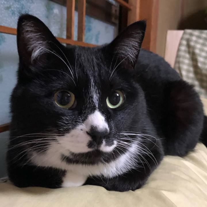 0e8f5b97 5cc0 4c00 acc5 610e1a5c3b0a 1619149886541