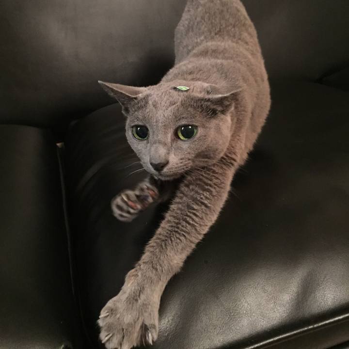 0e8f6068 3de0 4d82 88f0 00ba9b34913a 1571267435497