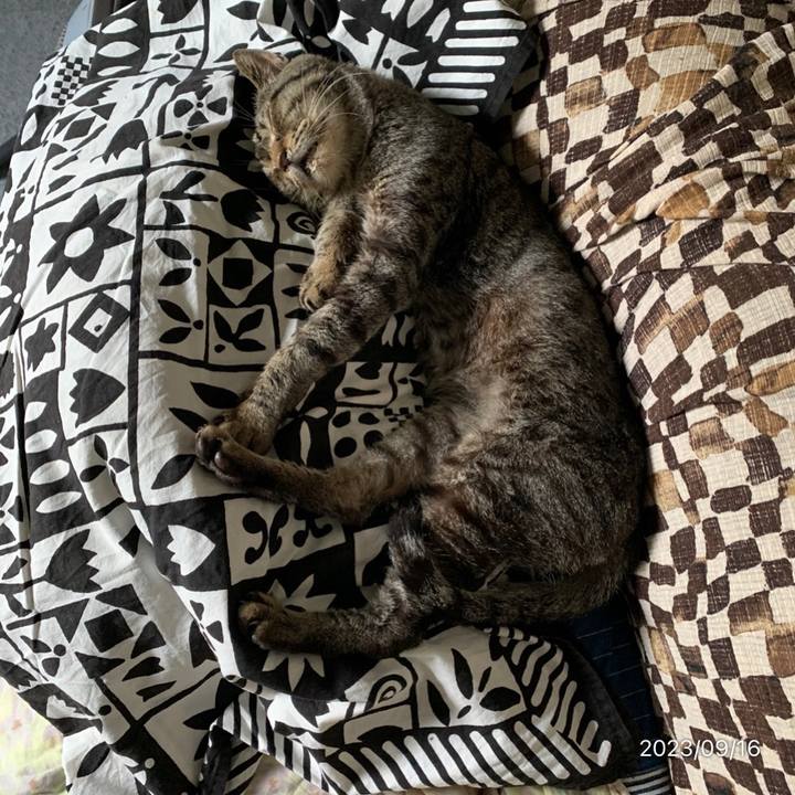 0e8f60bf 3e19 49ce a2e3 69754020d327 1694824621989