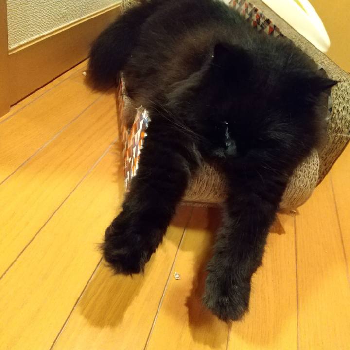 0e8f632a 9396 4f76 b3df 3bf3a05b043b 1598094911109