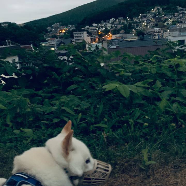 0e8f65e1 5791 41b1 9154 0272c2b961e2 1628107592383