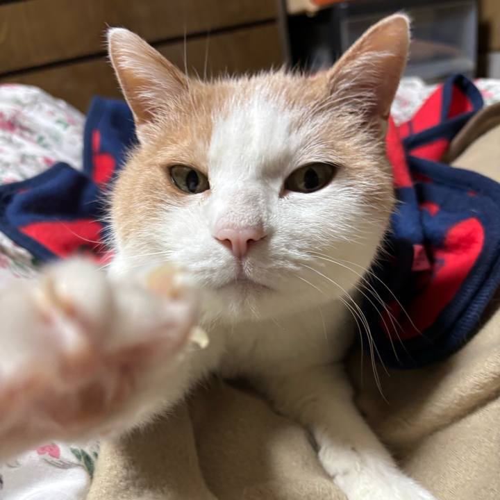 0e8fa37a 9e75 4076 960c 6f80287b5ee2 1765707329618