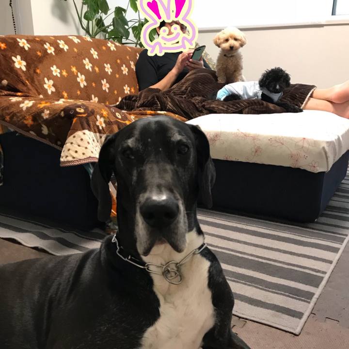 0e8fae8d 1f6f 405b af1f 70eba09d4bb6 1520203358076