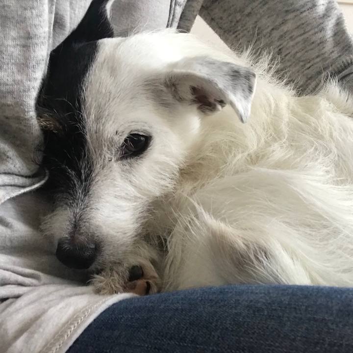 0e8fc23d fbbc 419f 81d4 5d51faa18df1 1537510854738