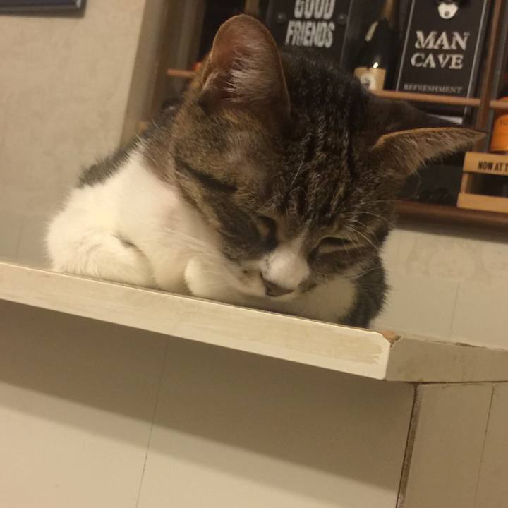 0e8fce27 bcb8 419f 98a0 7a9e53d41a04 1570095857183