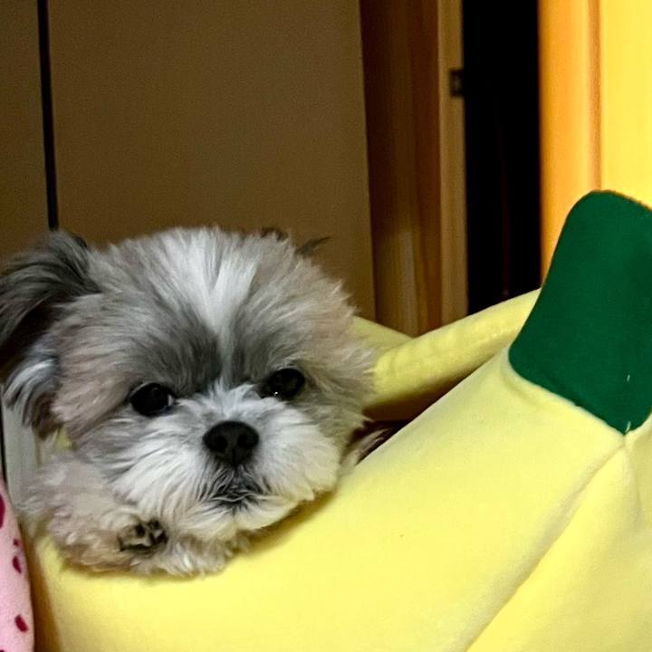 0e8fdfde bab2 4535 ae68 7d5895e64848 1696468381468