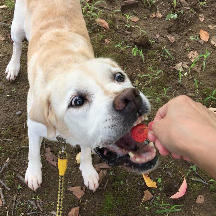 0e8feb44 6f02 4a03 a521 ad9ac4b88779 1568285383550