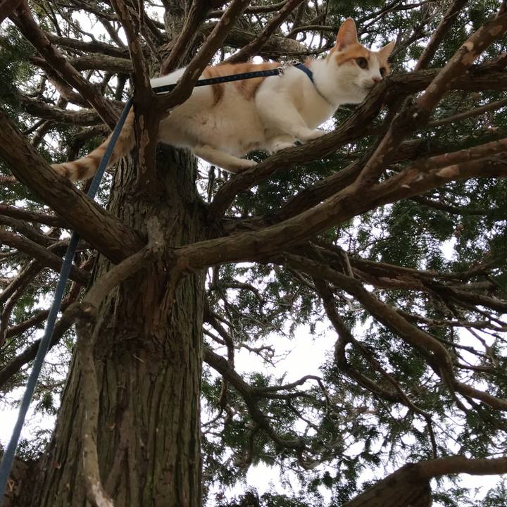 0e90281d cab8 4ccd 9f53 d9cf6e3fc0ec 1512877516591