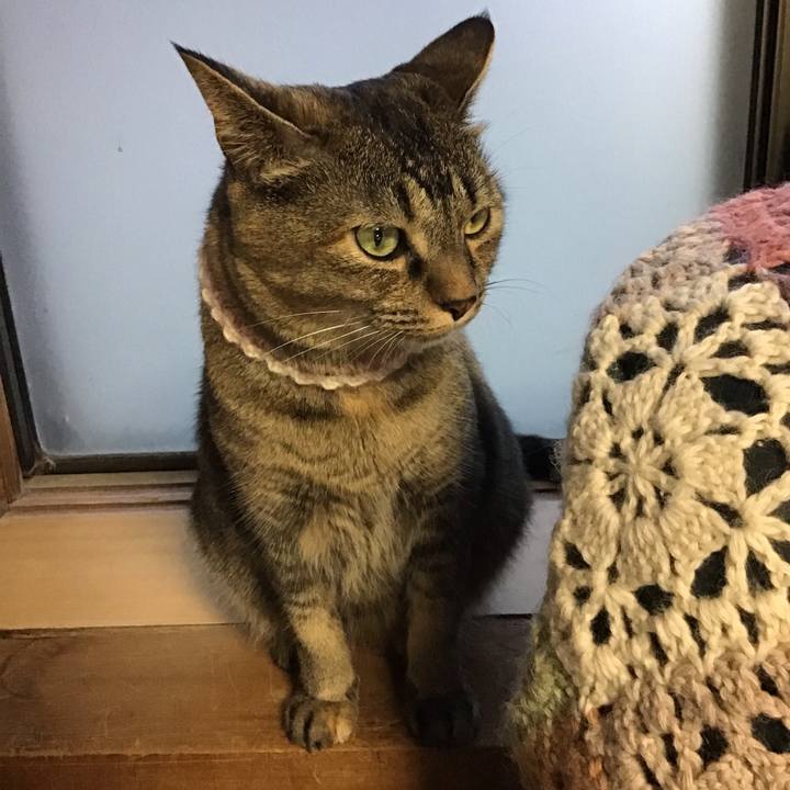 0e9036b7 c91f 40b8 b30f df2ed3bc41f6 1661944346099