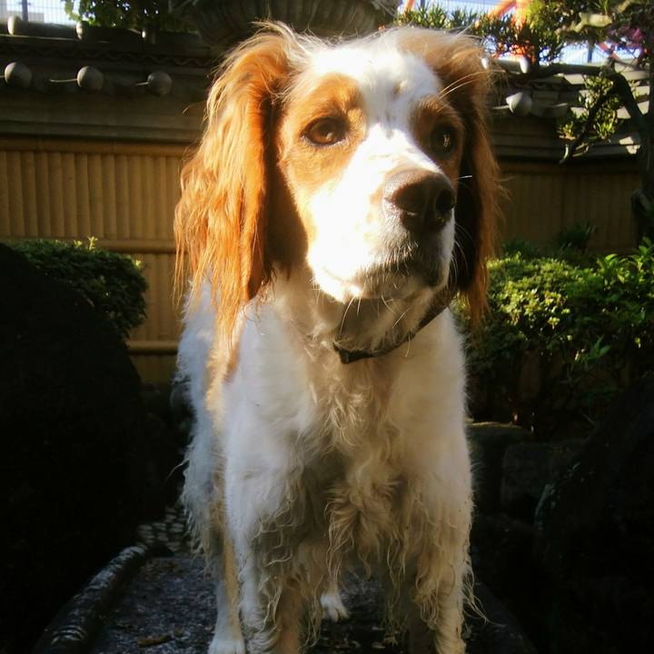 0e906135 669b 4a62 977f fdfd5e7132a0 1537798035527