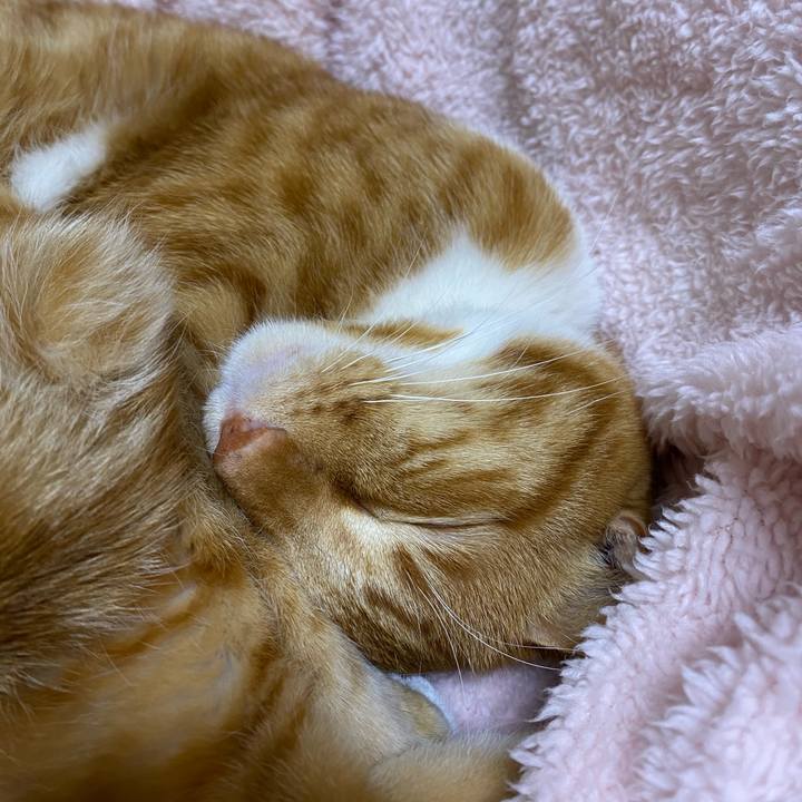 0e907357 ee33 4463 9cb6 041e65bdae0f 1581067608971