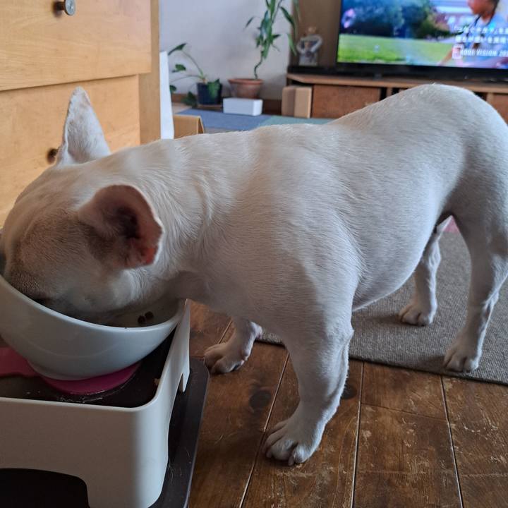 0e9082e6 cdc5 4fc0 bf47 97074c39ca36 1692487216650