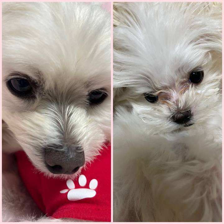 0e90a540 e68c 4d68 bb48 7ed06134bef1 1702128512787