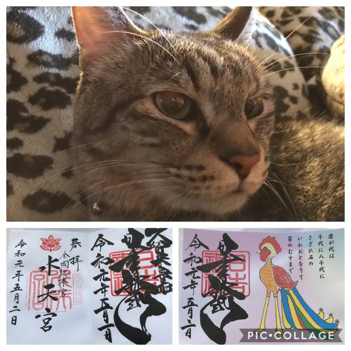 0e90b4fc 4017 4c4e bcb0 8af393cd2f0f 1556893602248