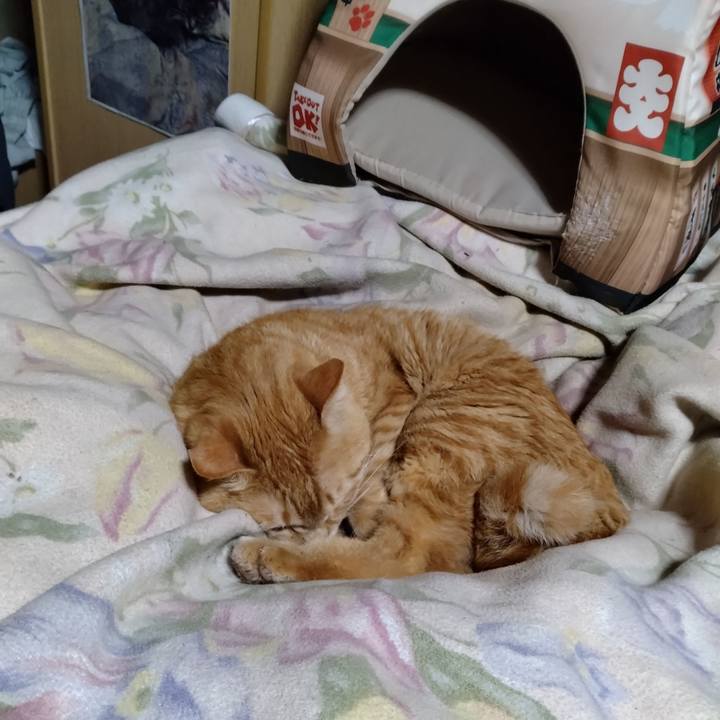 0e90e032 75af 4270 b92f 075fd5ec2a1e 1679746865699