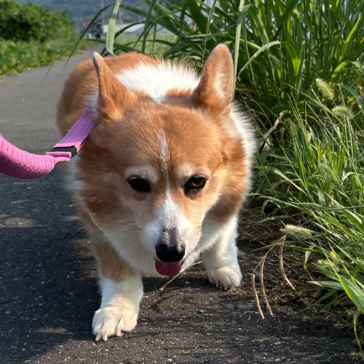 0e90e504 1fb4 4a15 86ff 9481d4f06692 1755992327896