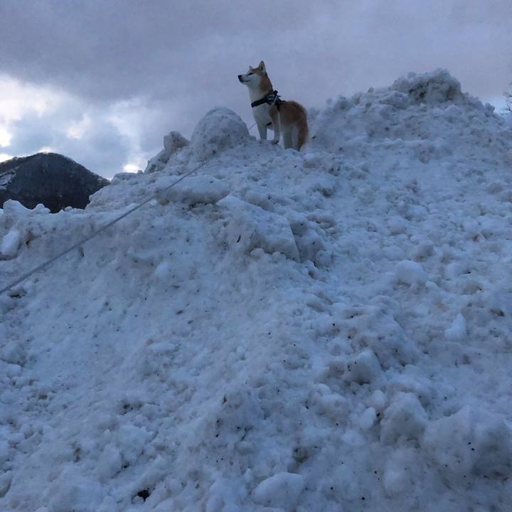 0e9163eb cf5b 4990 aa4f 2f52db2d3215 1581499493907