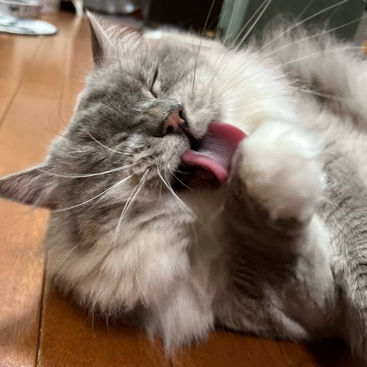 0e9171db 7cfc 4c90 9f99 c64db5d6ec7a 1662280576581