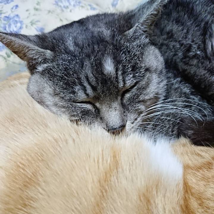 0e91bde6 2cfb 4043 9735 07b922713990 1576241585697