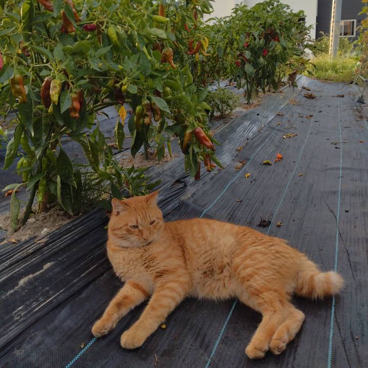 0e91c55a 1f86 4b22 80db 8d4152749c8e 1693611269896