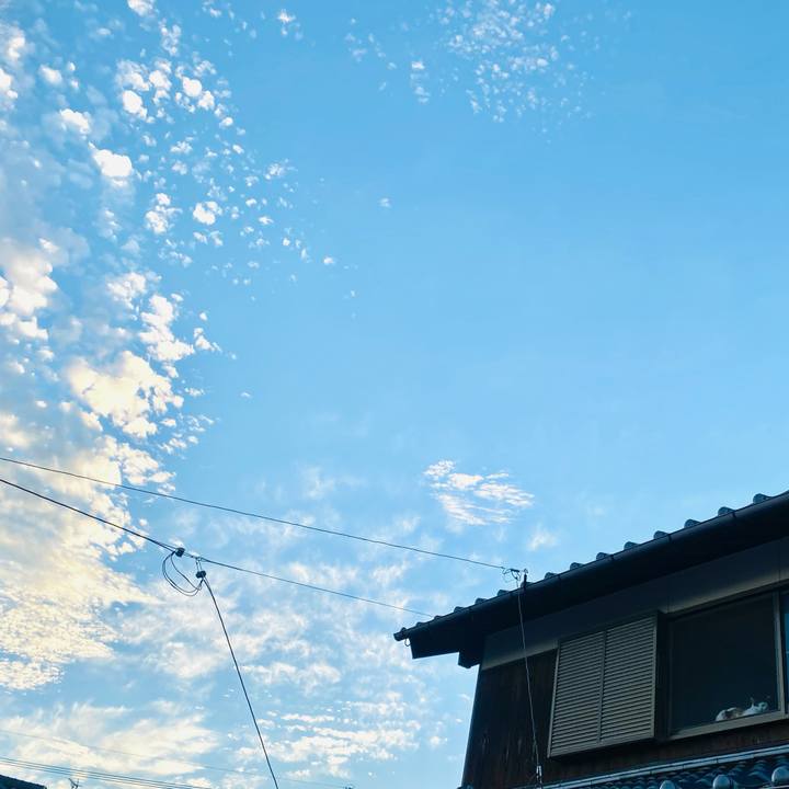 0e920b3a 06dc 422d b06f a98c996367c8 1659617101274