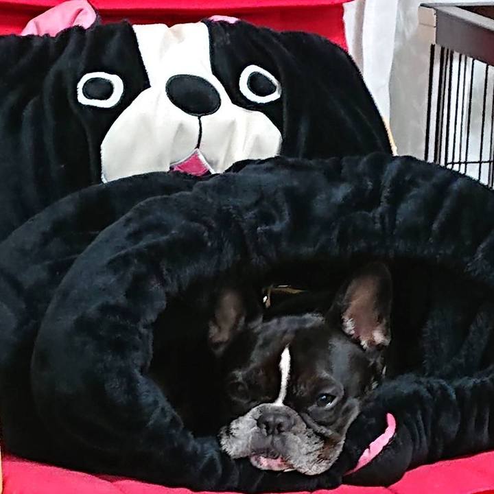 0e921349 2fea 41c2 a007 7f904877f956 1573986095158