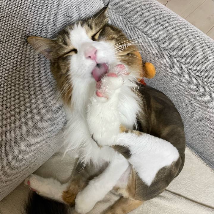 0e921b25 3fdc 4b1e 8903 9a554f94196d 1688328423453