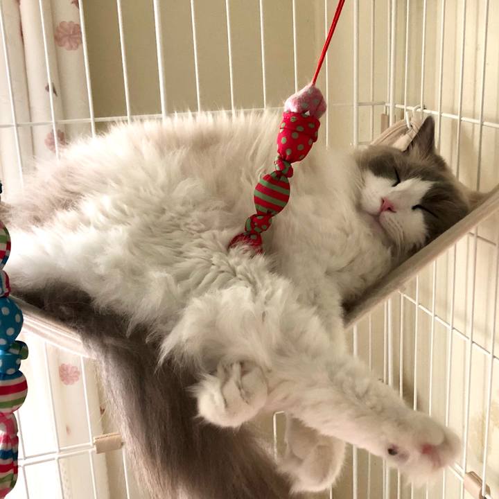 0e923456 a652 44bb a4db d68fbcd84da3 1592196575104