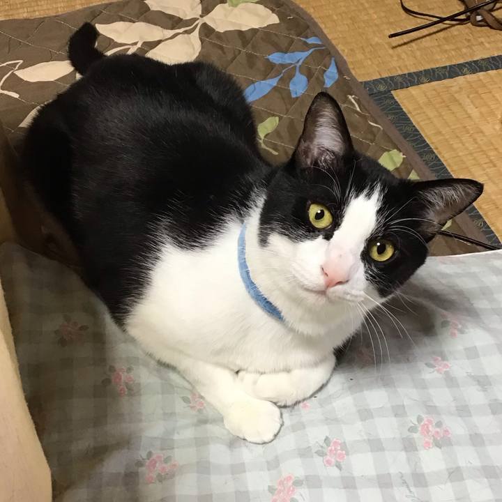 0e92668e a787 4342 89a2 0703bdd6620c 1684929299234