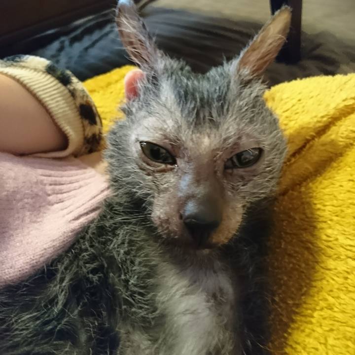 0e926ea0 039b 4779 9c00 218a933cee7f 1518777775613