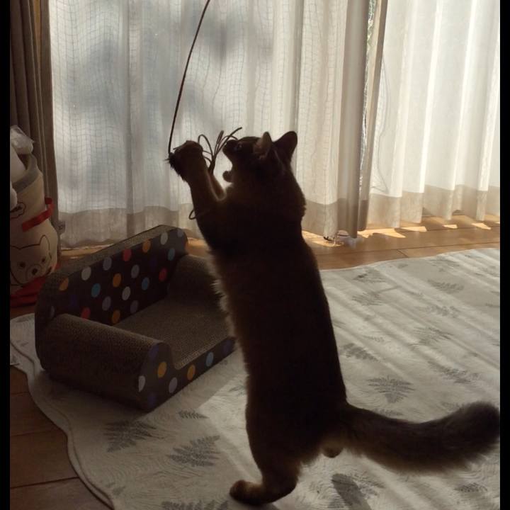 0e927cd9 71ad 48ae 8be3 5240d2289312 1575860018364