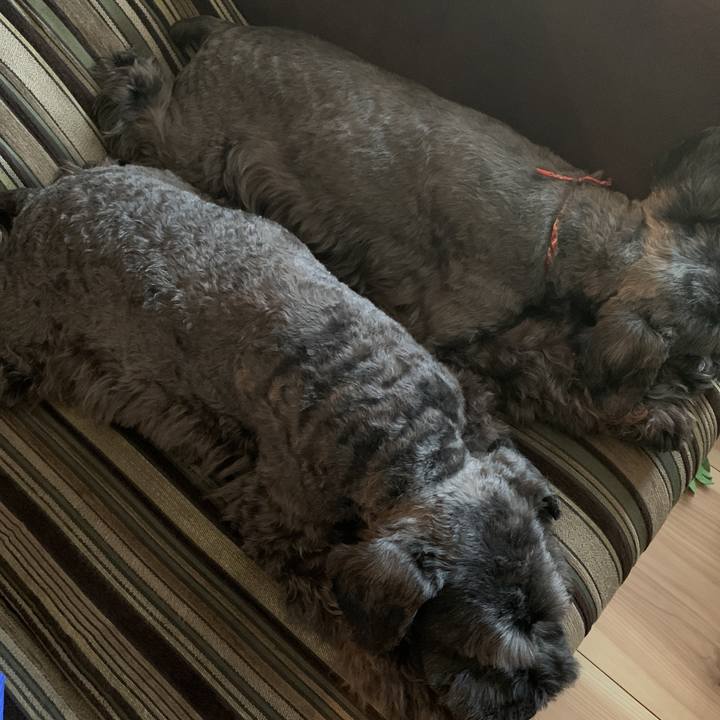 0e9281ad 71b6 491b a011 e2d42e2d6353 1597642259752