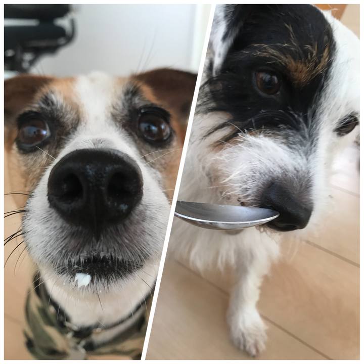 0e928ad4 c1bc 441d a432 3c003e05abc1 1534981541332