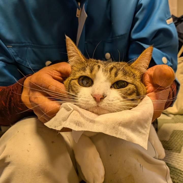 0e9298af 5e47 486c 8e13 79055952a855 1774849153095