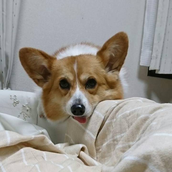 0e9298d3 b203 441e bfe5 93583bccbe32 1556290574611