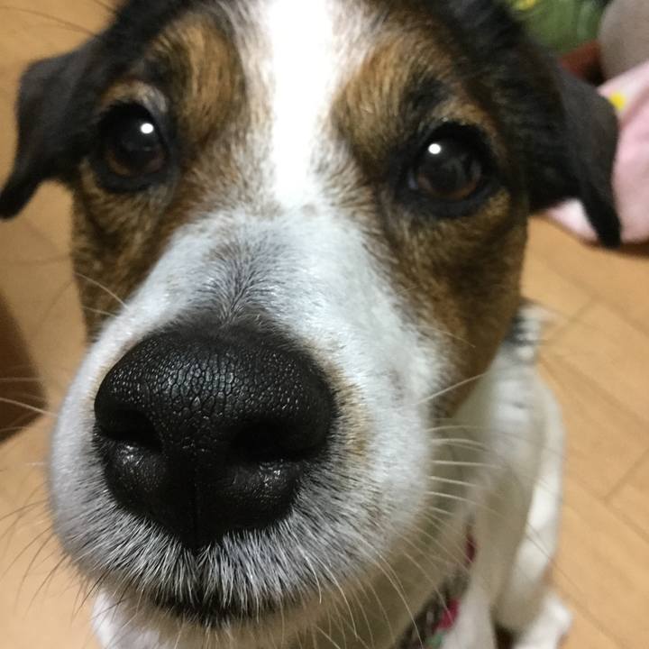 0e92c1c3 ad8f 47e7 85e7 2ae55235ad0d 1523441646114